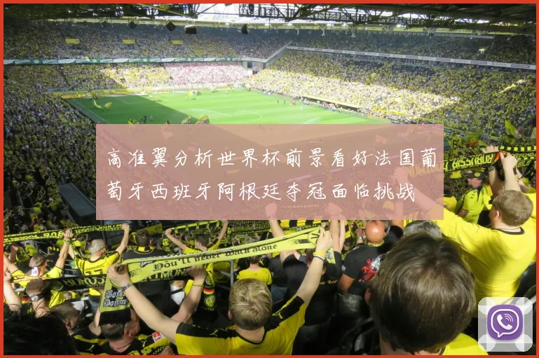 高准翼分析世界杯前景看好法国葡萄牙西班牙阿根廷夺冠面临挑战