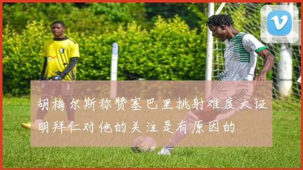 胡梅尔斯称赞塞巴里挑射难度大证明拜仁对他的关注是有原因的