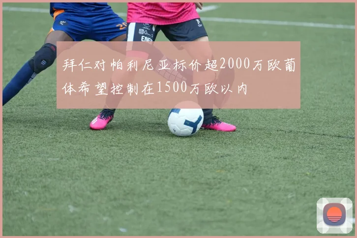 拜仁对帕利尼亚标价超2000万欧葡体希望控制在1500万欧以内